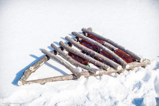 Природа, Томские новости, Томские экологи установили искусственные гнездовья на Коларовских озерах Томские экологи установили искусственные гнездовья на Коларовских озерах