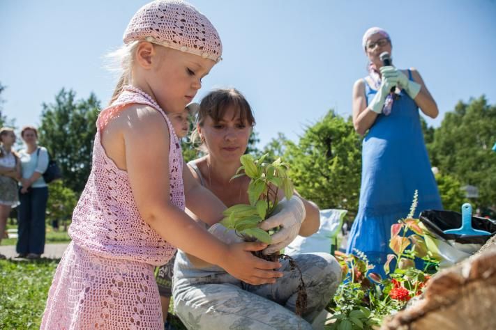 Томские новости, Жители Томска получат в подарок кедр за репост Жители Томска получат в подарок кедр за репост