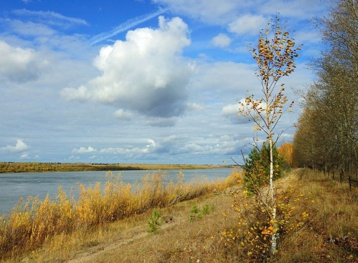 Томские новости, Томичи предпочитают гулять в Лагерном саду — опрос Томичи предпочитают гулять в Лагерном саду — опрос