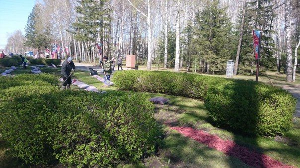 Городское благоустройство, Томские новости, Монтаж светильников в Лагерном саду Томска завершат к 7 мая Монтаж светильников в Лагерном саду Томска завершат к 7 мая