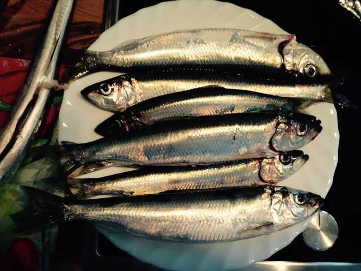 Предприятия Томска и области, Томские новости, Томские пресервы получили Знак качества Томские пресервы получили Знак качества