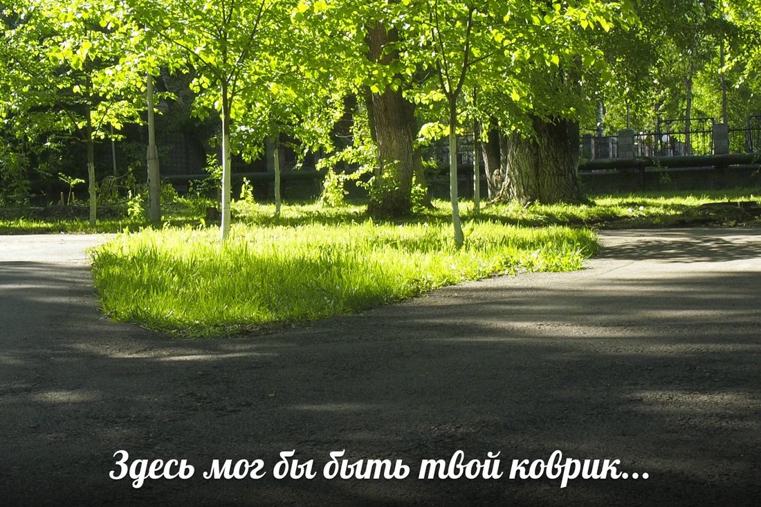 Томские новости, Завтра в Томске стартуют занятия йогой на свежем воздухе Завтра в Томске стартуют занятия йогой на свежем воздухе