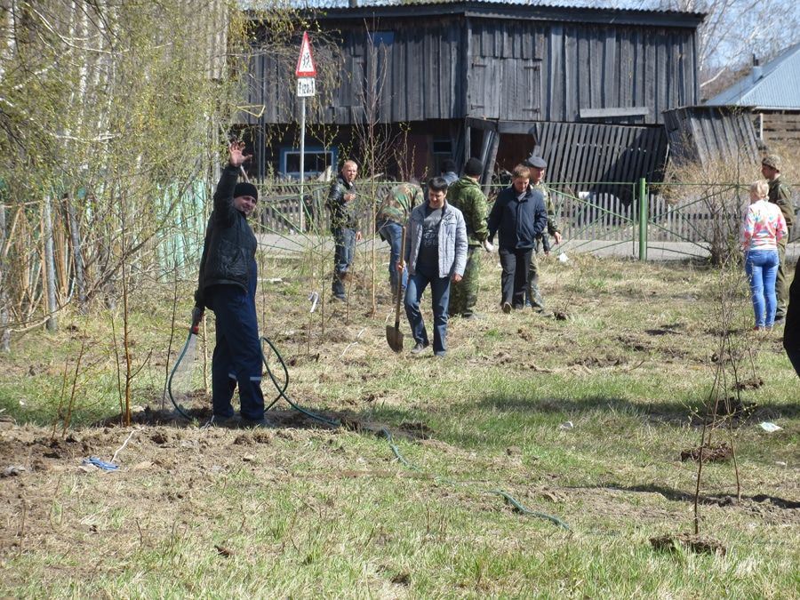 Ростелеком, Томские новости, Специалисты &laquo;Ростелекома&raquo; высадили в Каргаске Аллею связистов Специалисты &laquo;Ростелекома&raquo; высадили в Каргаске Аллею связистов