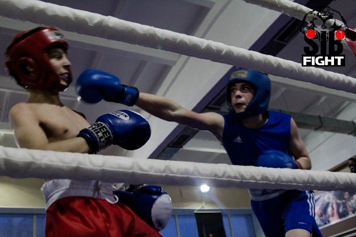 Томские новости, В эту субботу в Томске юные спортсмены выйдут на ринг В эту субботу в Томске юные спортсмены выйдут на ринг