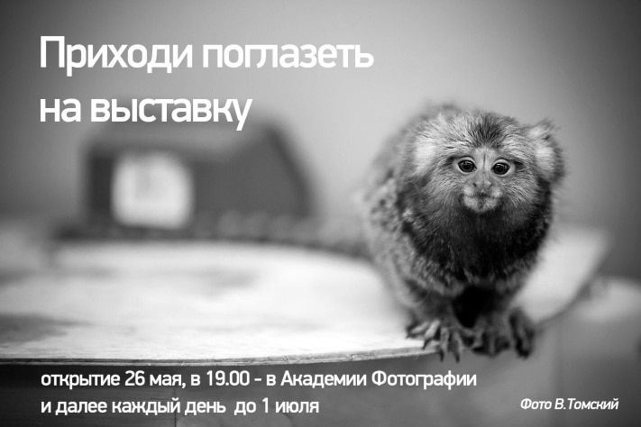 Конкурсы и акции, Томские новости, Сегодня в Томске открывается юбилейная выставка «Академии фотографии» Сегодня в Томске открывается юбилейная выставка «Академии фотографии»
