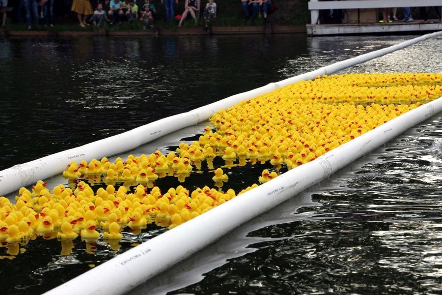 Томский Обзор, новости, T2, Мировые новости Tele2 и фонд «Навстречу переменам» наградили победителей утиного заплыва Tele2 и фонд «Навстречу переменам» наградили победителей утиного заплыва