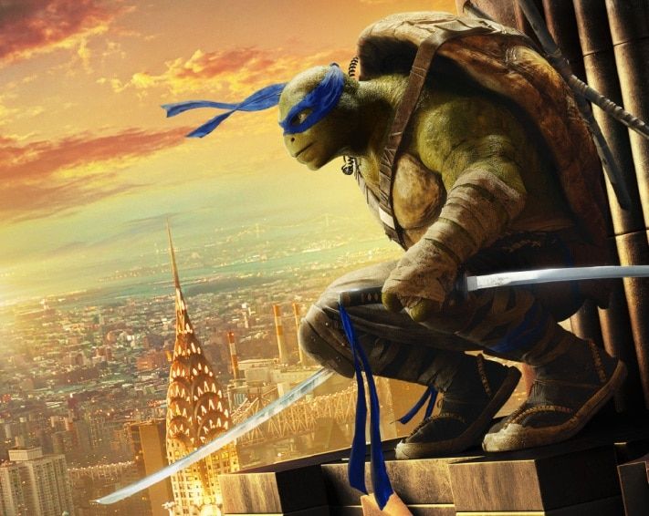 Тест недели, Томские новости, Тест: черепаха, крыса или Шреддер Тест: черепаха, крыса или Шреддер