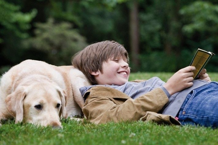 Томские новости, В Томске будут работать собаки-библиотекари В Томске будут работать собаки-библиотекари