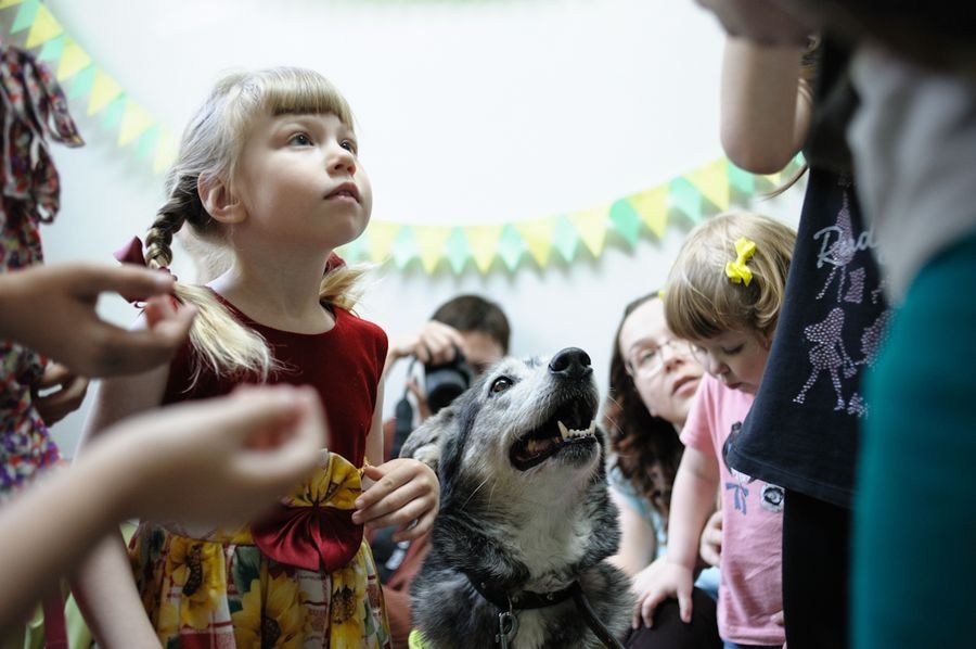 Фото недели: В Томске открылась студия чтения с собаками-библиотекарями