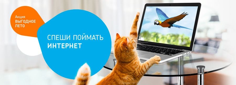Томский Обзор, новости, Мировые новости, Ростелеком &laquo;Ростелеком&raquo; проводит федеральную акцию &laquo;Выгодное лето&raquo; &laquo;Ростелеком&raquo; проводит федеральную акцию &laquo;Выгодное лето&raquo;