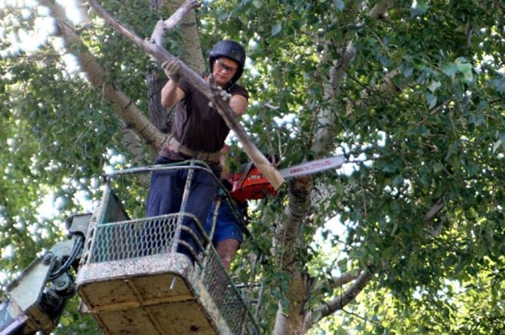 Дороги, Томские новости, В пятницу в Томске перекроют движение по ул.Савиных В пятницу в Томске перекроют движение по ул.Савиных