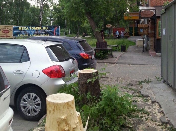 Городское благоустройство, Томские новости, В Театральном сквере Томска вырубили клёны (ФОТО) В Театральном сквере Томска вырубили клёны (ФОТО)