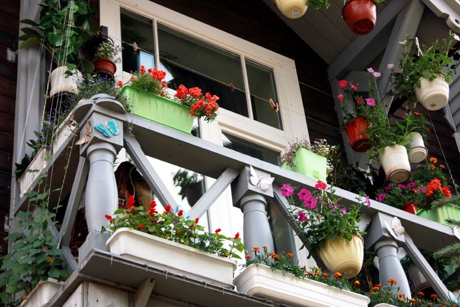 Городские детали: цветы и бабочки на балконе &laquo;музыкального&raquo; дома со шпилем