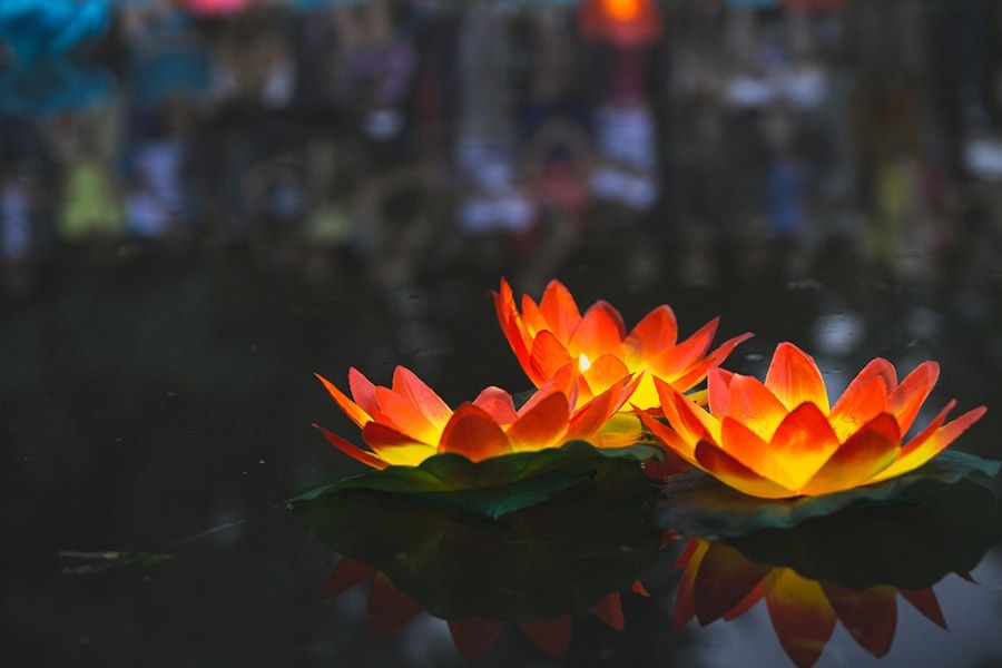 Фото недели.Фестиваль водных фонариков в Горсаду Томска