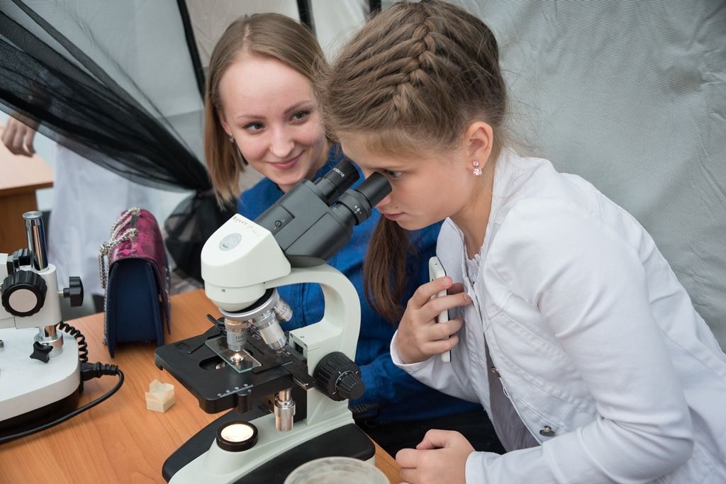 Образование и наука, Томские новости, «Я в ТГУ»: в Университетской роще можно увидеть мир современных технологий «Я в ТГУ»: в Университетской роще можно увидеть мир современных технологий