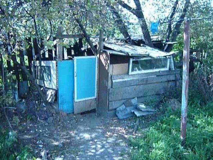 Томские новости, В Томской области судебные приставы арестовали должника, живущего в шалаше В Томской области судебные приставы арестовали должника, живущего в шалаше