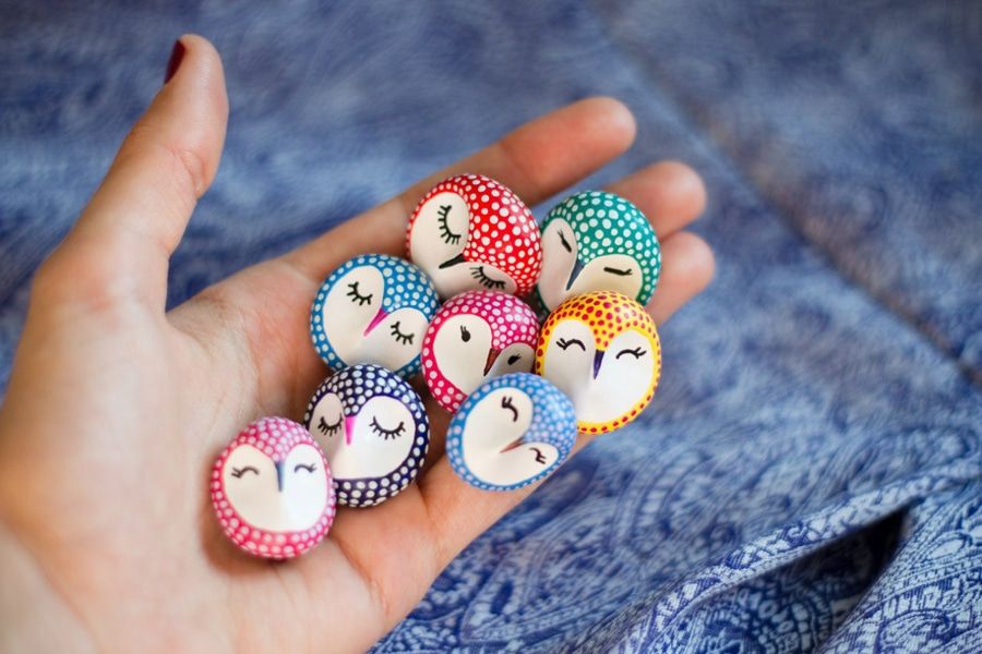 Милый бизнес.Как томские совы улетели в Австралию