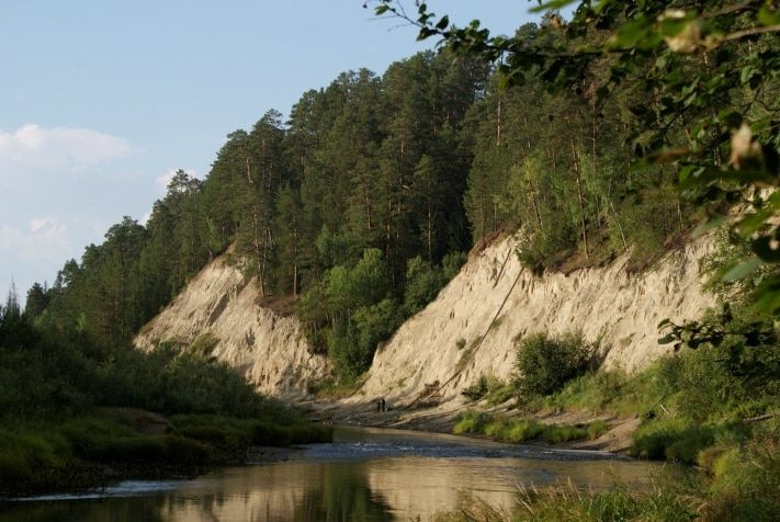 Образование и наука, Томские новости, Томские палеонтологи, возможно, нашли «детский сад» динозавров Томские палеонтологи, возможно, нашли «детский сад» динозавров
