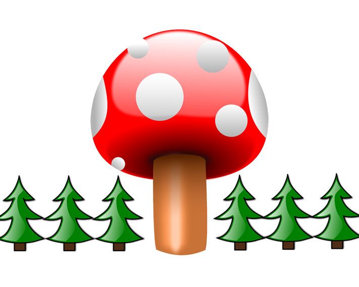 Томские новости, Опрос: С каким лозунгом вы бы пошли на выборы? Опрос: С каким лозунгом вы бы пошли на выборы?