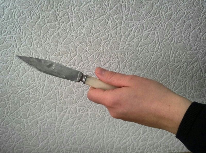 Судебные дела, Томские новости, Томича, убившего бабушку, назвавшую его наркоманом, приговорили к 10 годам колонии Томича, убившего бабушку, назвавшую его наркоманом, приговорили к 10 годам колонии 