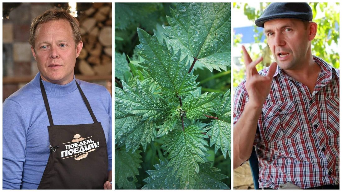 Томские новости, Ведущий программы «Поедем, поедим!» попробовал томские нефритовые пельмени Ведущий программы «Поедем, поедим!» попробовал томские нефритовые пельмени