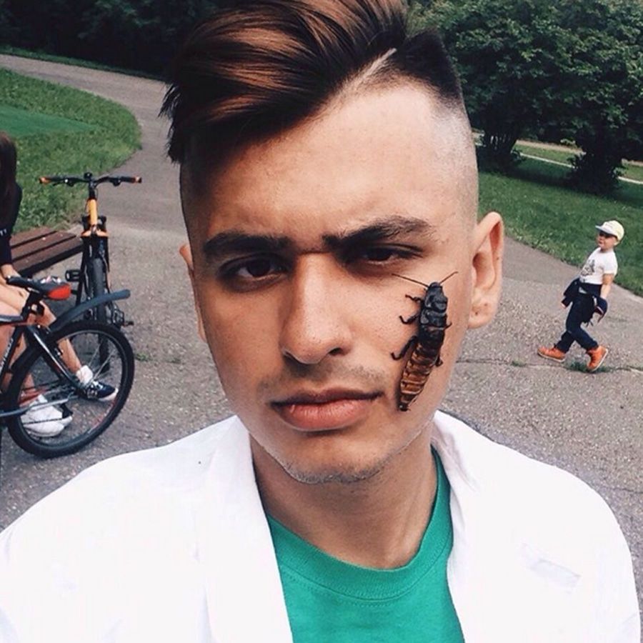 Дневник недели.Instagram: тараканы на лице твоем