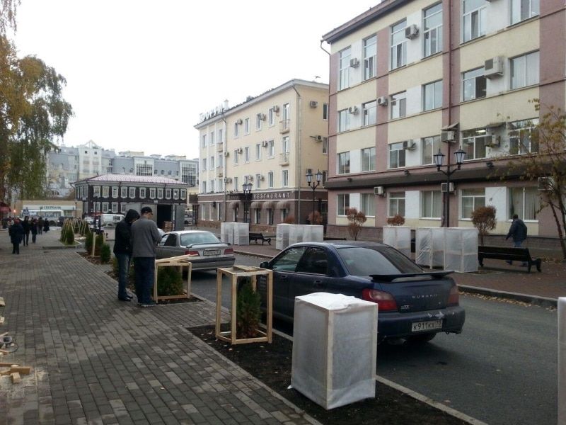 Зелень в городе, Томские новости, В Томске прячут туи (ФОТО) В Томске прячут туи (ФОТО)