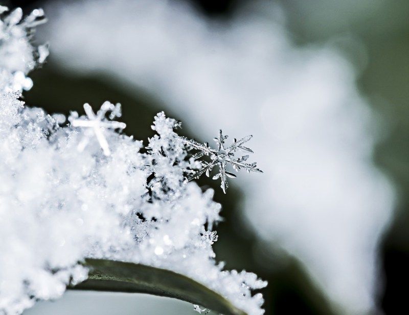 Стихия в Томске и области, Томские новости, Завтра в Томске ожидается мокрый снег и гололёд Завтра в Томске ожидается мокрый снег и гололёд