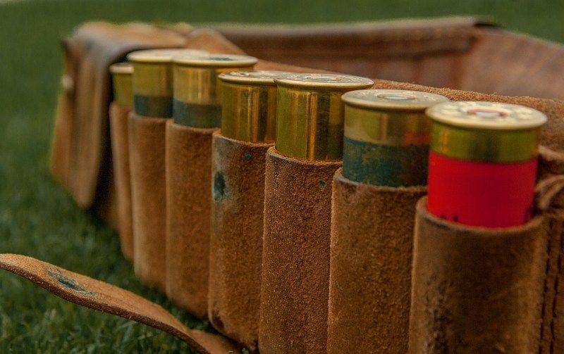 Томские новости, Главный пристав Томской области предлагает лишать охотничьих билетов должников по алиментам Главный пристав Томской области предлагает лишать охотничьих билетов должников по алиментам