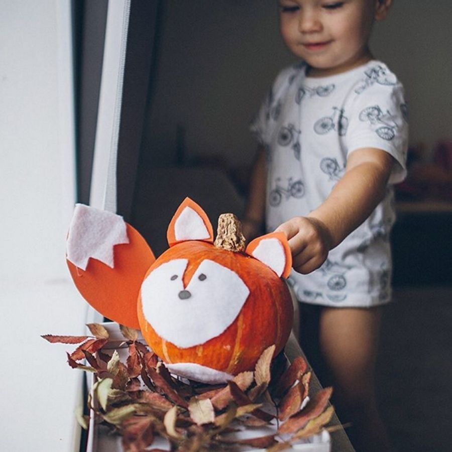 Посмотри! 10 теплых моментов из жизни томичей