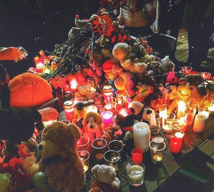 Конкурсы и акции, Томские новости, В Томске пройдет пикет за гуманное отношение к животным В Томске пройдет пикет за гуманное отношение к животным