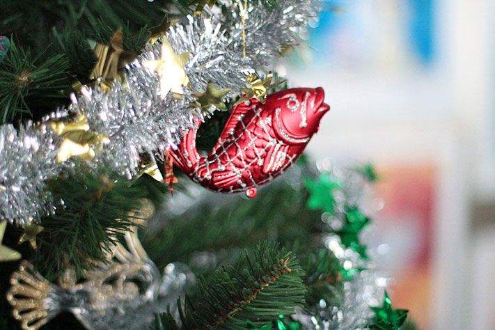 Новый год ❄, Томские новости, елочные базары купить елку в Томске где места продаж В воскресенье в Томске откроются елочные базары