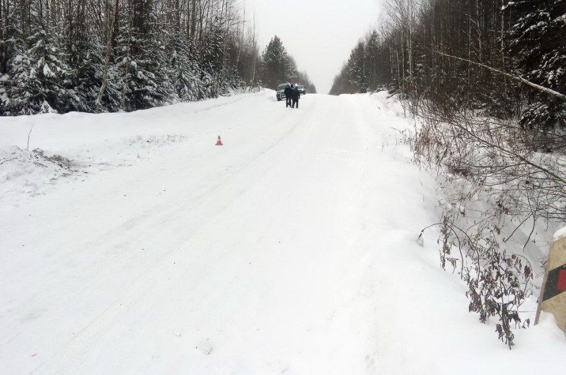 Происшествия, Томские новости, В Томской области водитель насмерть сбил «голосовавшего» пешехода В Томской области водитель насмерть сбил «голосовавшего» пешехода