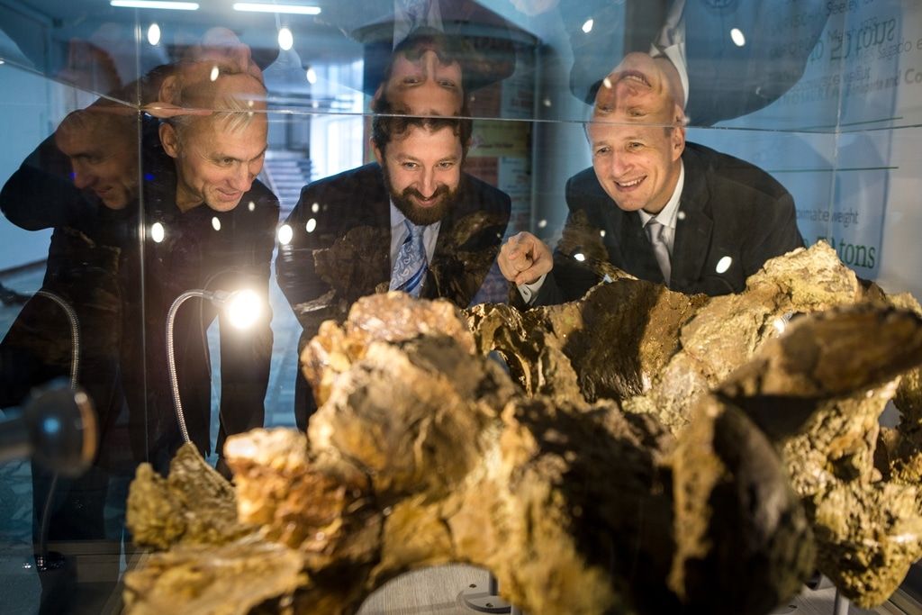 Образование и наука, ТГУ, Томские новости, динозавры зауроподы тгу Новый род динозавров, найденный в Сибири, получил имя сибиротитан (ФОТО)