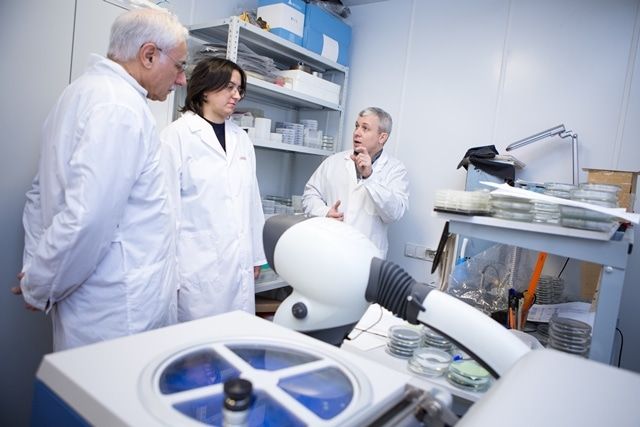 Медицина и биотехнологии в ТГУ, Образование и наука, ТГУ, Томские новости, тгу радиофизический факультет DESY рентгеновский микроскоп арсенид галлиевые сенсоры Ученые ТГУ и DESY создадут первый в мире рентгеновский микроскоп