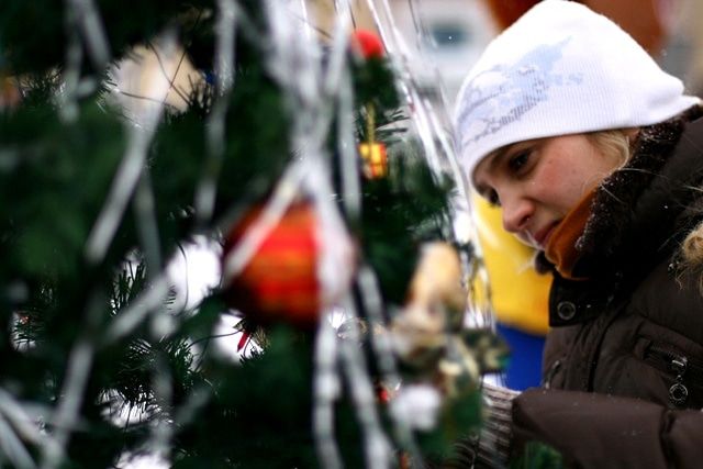 Новый год ❄, Томские новости, ёлка новый год ёлочный базар ёлку купить купить ель В субботу в Томске откроются ёлочные базары
