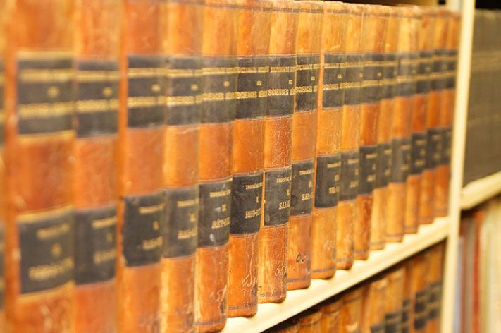 #ИстфакТГУ, Образование и наука, Томские новости, образование наука британские ученые ТГУ исторический факультет #ИстфакТГУ: У российских и британских профессоров много общего — антропологи