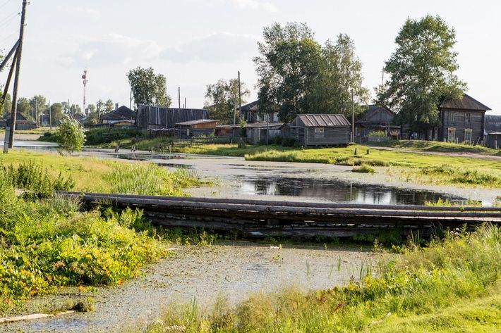 Образование и наука, ТГУ, Томские новости, образование ТГУ наука этнография краеведение науки Французские этнографы займутся исследованием культуры Сибири