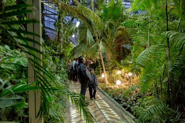 Зелень в городе, Конкурсы и акции, ТГУ, Томские новости, волонтеры ТГУ ботанический сад Ботанический сад ТГУ набирает волонтеров