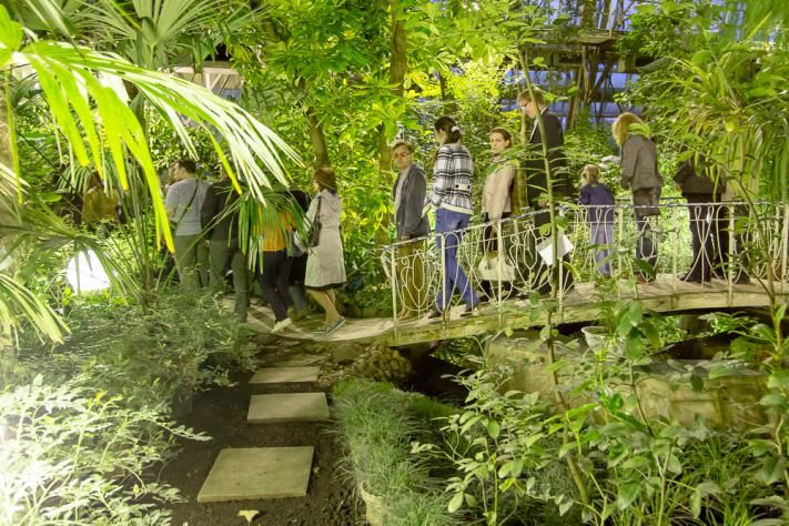 ТГУ, Томские новости, Сибирский ботанический сад проект развития ТГУ Анатолий Ракитин ботсад на мокрушина В ТГУ принимают предложения томичей о развитии Ботанического сада