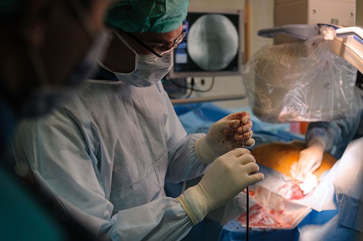 Медицина и здоровье, Томские новости, улыбнись 2017 акция операция полис ОМС дефект челюстно-лицевая хирургия В июне Томск присоединится к всероссийской акции «Улыбнись»