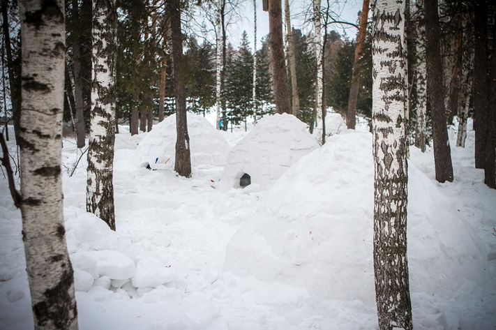 Культура в Томске, Томские новости, соревнования куда сходить в томске афиша томска семейная афишу куда сходить с детьми Томичей приглашают принять участие в соревнованиях по строительству иглу