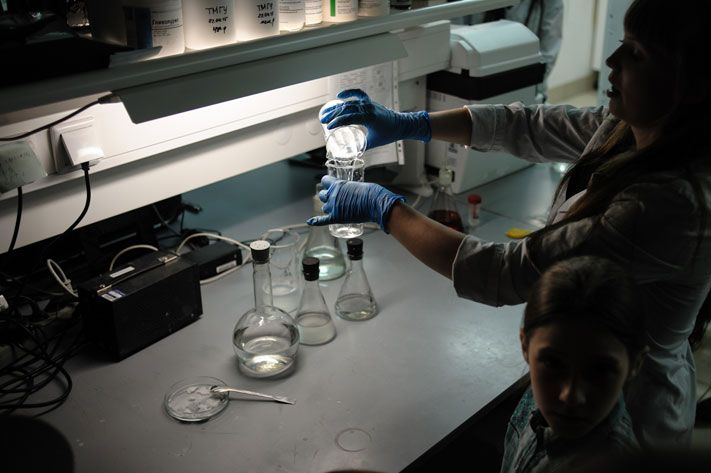 Образование и наука, Томские новости, образование наука белок лаборатория исследование НИИ Cуперсовременная лаборатория клеточной медицины появится в Томске