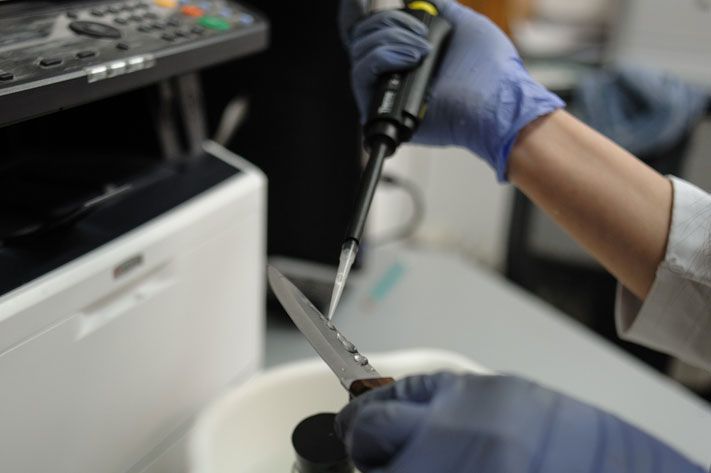 Образование и наука, Томские новости, покрытие защита антикор томские ученые химия Томские ученые придумали покрытие, с которым нож не ржавеет даже в соляном растворе