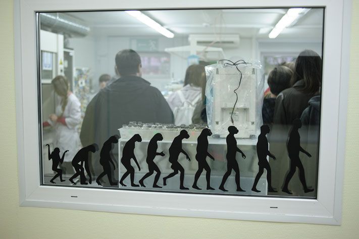 Конкурсы и акции, Образование и наука, Томские новости, Ночь науки музеи бесплатная экскурсия В «Ночь науки» томичи смогут потрогать ДНК и побывать в винтажной «анатомке»