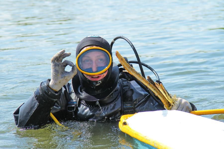 Конкурсы и акции, Природа, Томские новости, дайверы водолазы нефтехимовское озеро уборка субботник Сегодня дайверы наведут порядок на Нефтехимовском озере