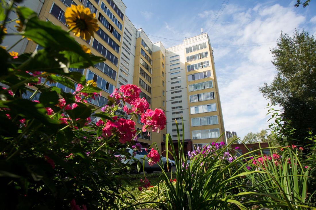 Зелень в городе, Томские новости, зелень контроль озеленение В Томске появится программа комплексного управления «зеленым» хозяйством города