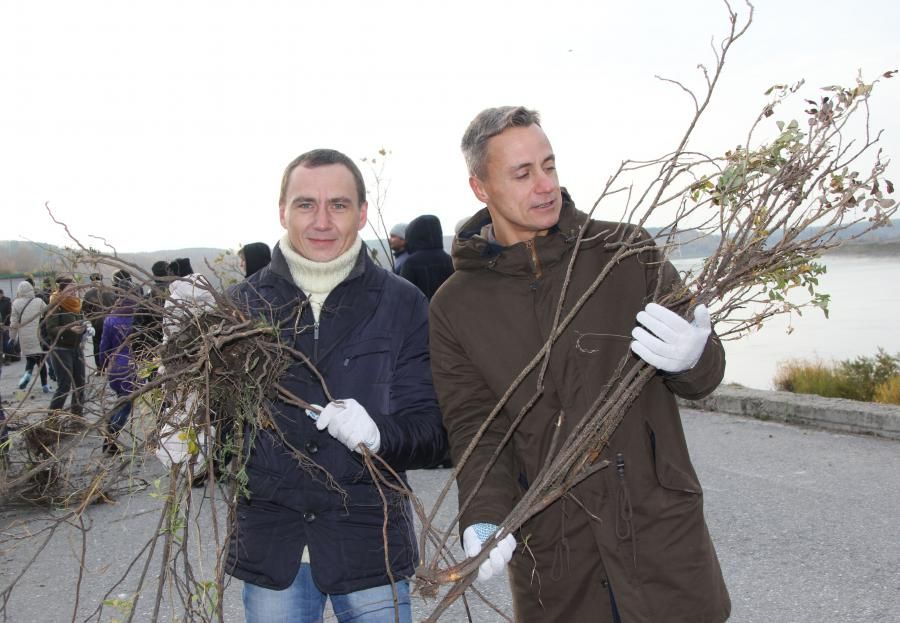 Городское благоустройство, Дума Томска, Зелень в городе, Томские новости, Томск Гордума депутаты субботник Лагерный сад озеленение кусты шиповник Депутаты городской Думы приняли участие в озеленении склона Лагерного сада (ФОТО)