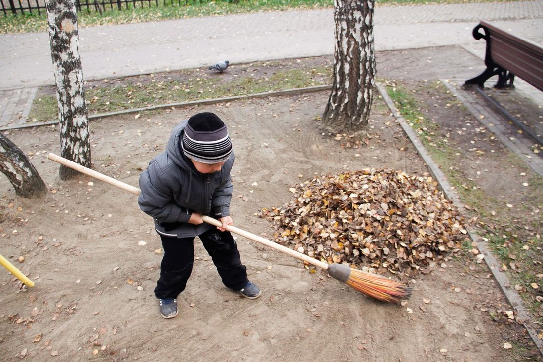 Конкурсы и акции, Субботники, Томские новости, субботник квест уборка Томичей приглашают принять участие в эко-квесте
