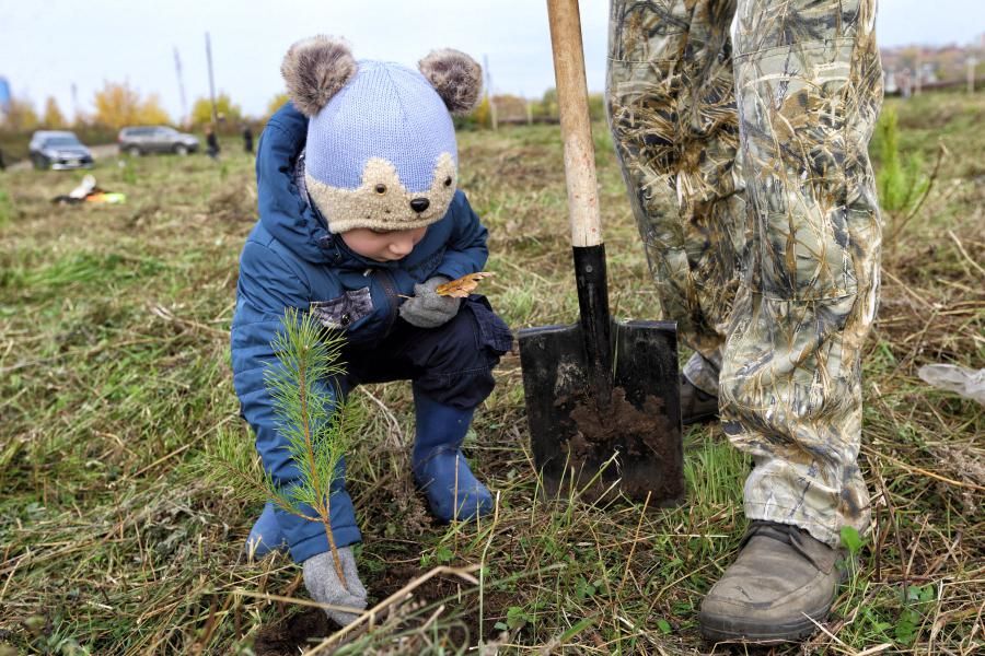 Городское благоустройство, Томские новости, субботник Михайловская роща уборка территории благоустройство На втором общегородском субботнике томичи наведут порядок в Михайловской роще
